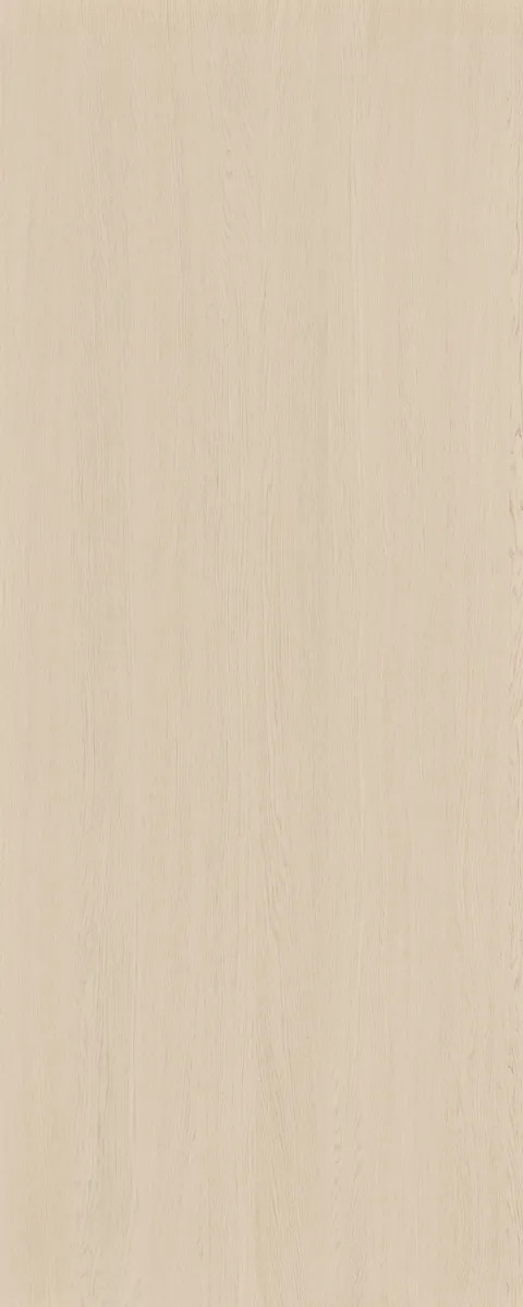 Bondi Oak